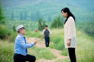 富贵盈门免费观看全集,免费畅享全集，揭开豪门秘事