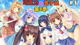 巧克力与香草在线播放,一场甜蜜的在线视听盛宴