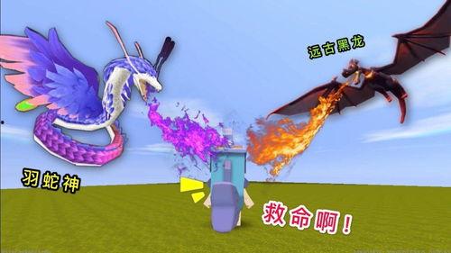 羽蛇神视频,神秘古文明的守护者与启示录