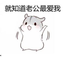 夸老公帅表情包,表情包里的甜蜜告白