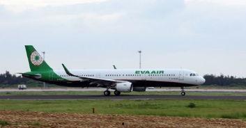 日本空姐片链接,优雅微笑背后的故事与日常