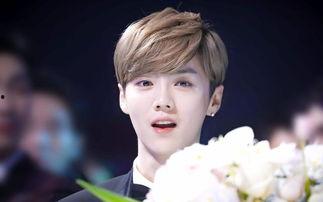 娱乐吃瓜君鹿晗,娱乐吃瓜界的风云人物