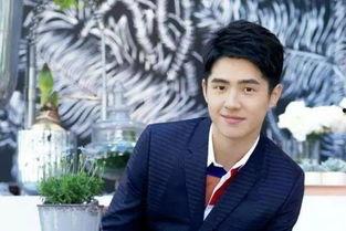 娱乐圈的吃瓜博主是谁,揭秘幕后真相，带你走进明星生活