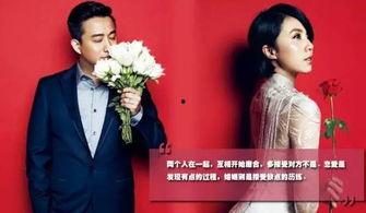 娱乐圈吃瓜夫妻小说推荐,揭秘那些隐藏在闪光灯下的爱情故事