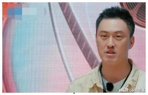 娱乐圈吃瓜做成,揭秘明星背后的故事与真相